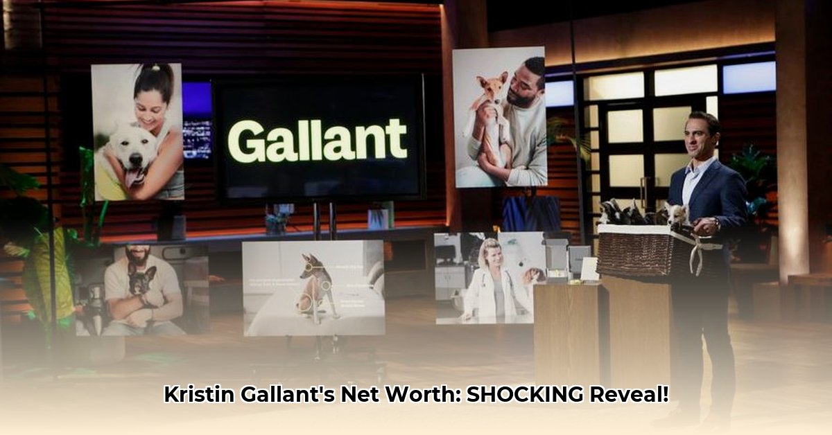 kristin-gallant-net-worth